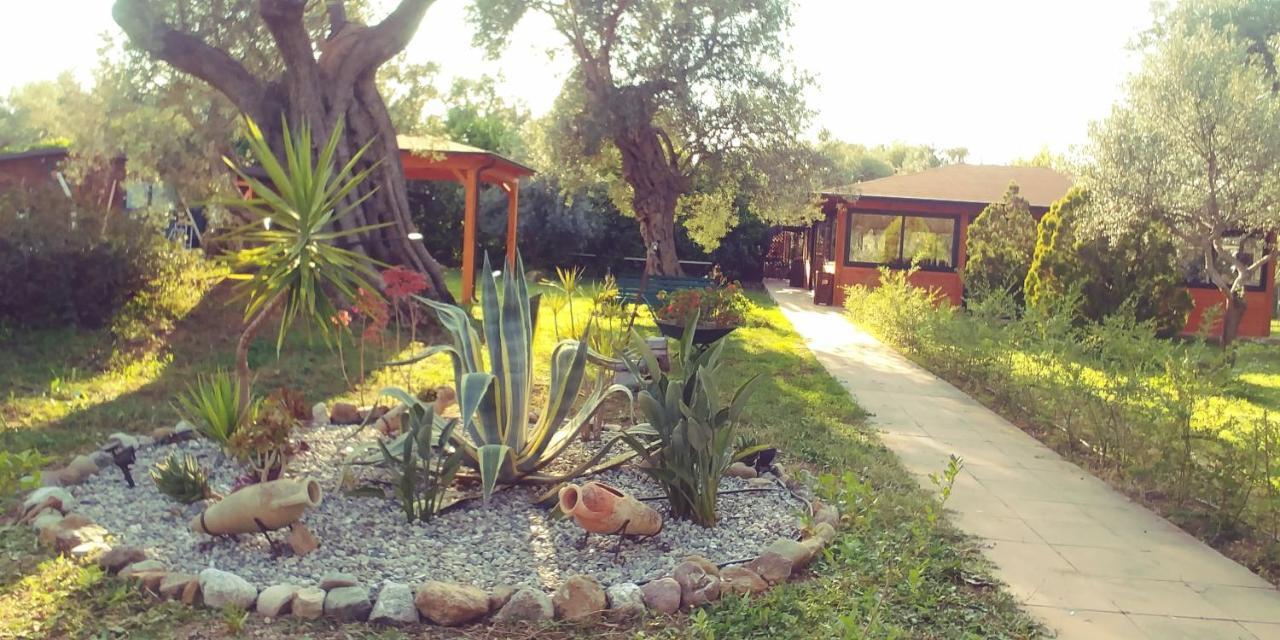 La Piana Degli Ulivi Bed & Breakfast Rossano Dış mekan fotoğraf