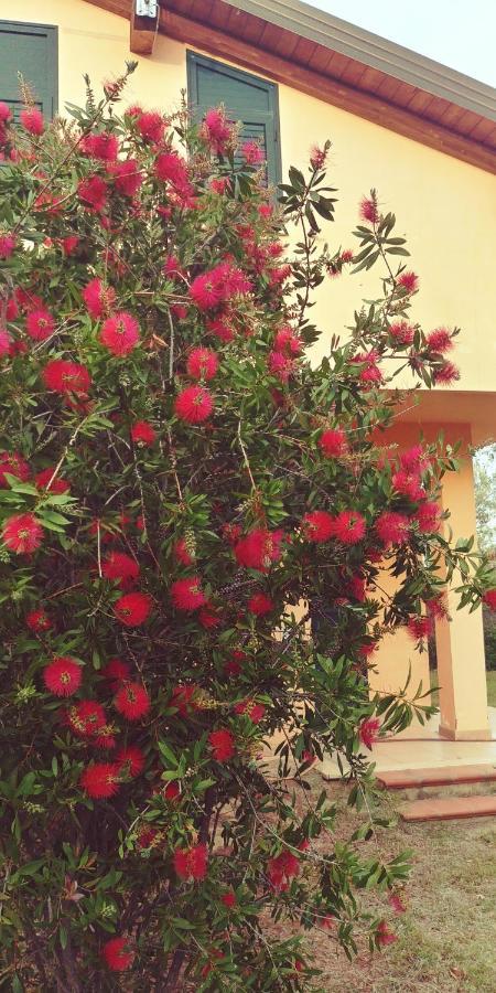 La Piana Degli Ulivi Bed & Breakfast Rossano Dış mekan fotoğraf
