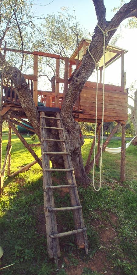 La Piana Degli Ulivi Bed & Breakfast Rossano Dış mekan fotoğraf
