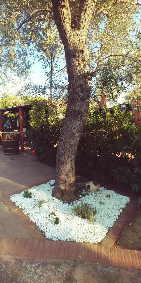 La Piana Degli Ulivi Bed & Breakfast Rossano Dış mekan fotoğraf