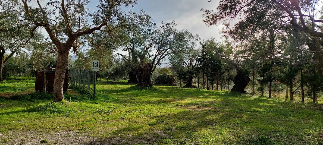 La Piana Degli Ulivi Bed & Breakfast Rossano Dış mekan fotoğraf