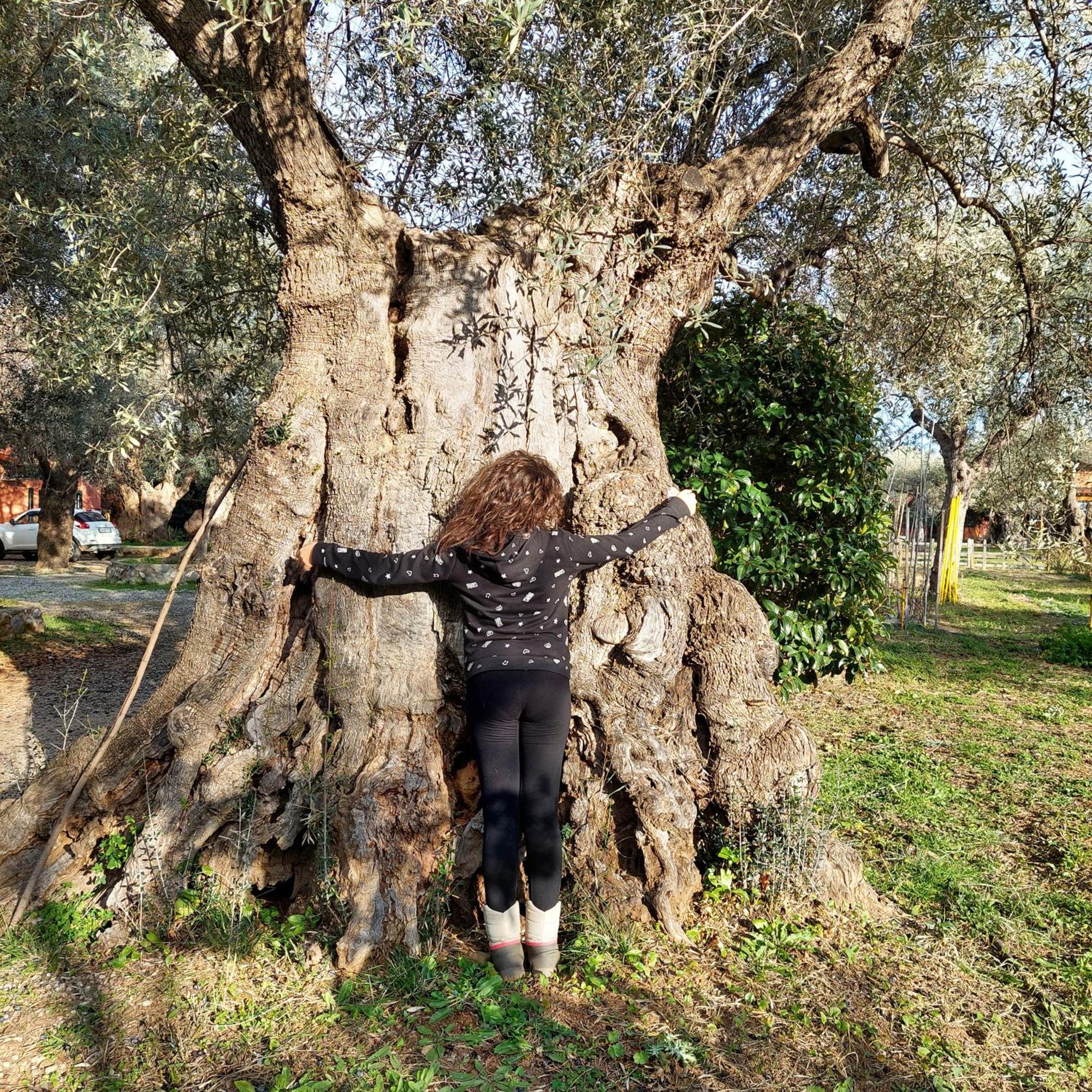 La Piana Degli Ulivi Bed & Breakfast Rossano Dış mekan fotoğraf