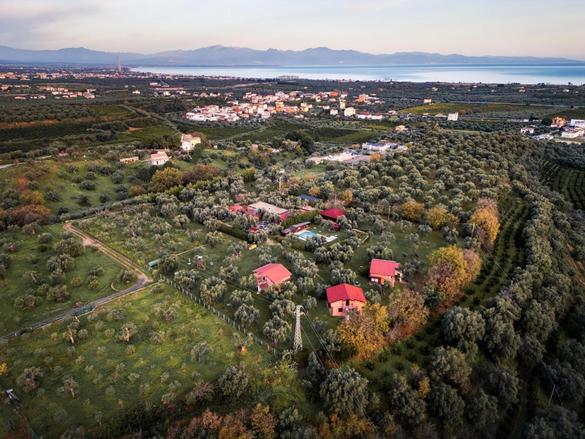 La Piana Degli Ulivi Bed & Breakfast Rossano Dış mekan fotoğraf