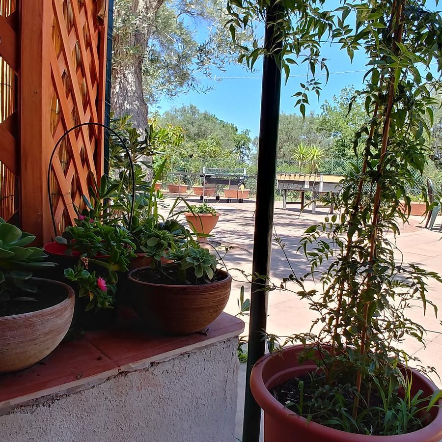 La Piana Degli Ulivi Bed & Breakfast Rossano Dış mekan fotoğraf