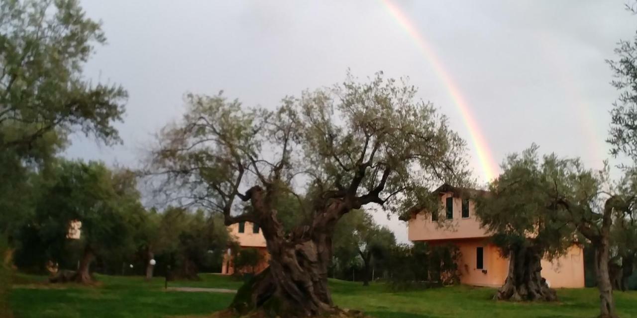 La Piana Degli Ulivi Bed & Breakfast Rossano Dış mekan fotoğraf